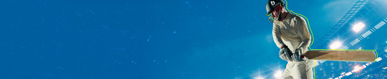 cricket-banner.jpg